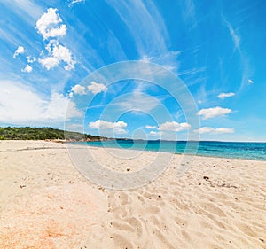 Liscia Ruja beach on a sunny day photo