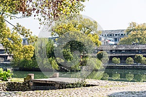 Lishui ancient street and camphor tree