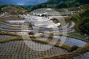 Lishui terrace scenery