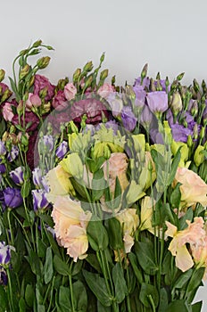 Lisianthus flower on white background