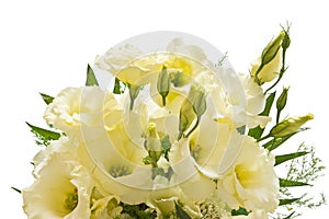 Lisianthus flowers