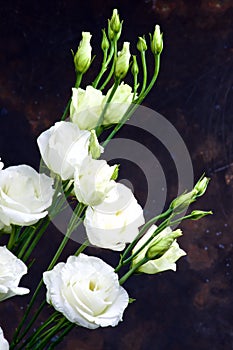 Lisianthus Flowers Bouquet