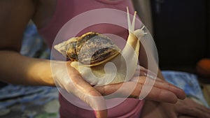 Snail on the hand