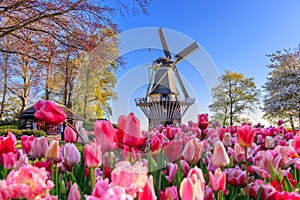 Lisse, Holland, Netherlands