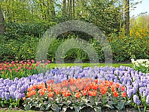 Lisse, Netherlands â€“ April 21, 2018: Keukenhof gardens covered with flowers