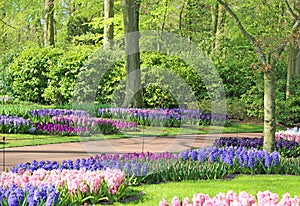 Lisse, Netherlands â€“ April 21, 2018: Keukenhof gardens covered with flowers