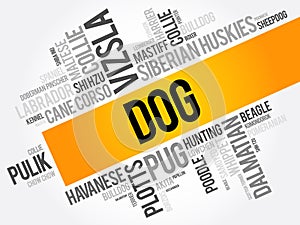 List of most popular dog breeds word cloud collage, animal concept background