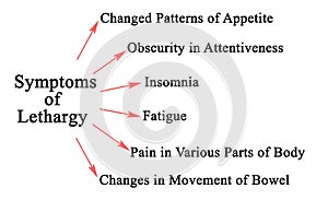 Six Symptoms of Lethargy photo