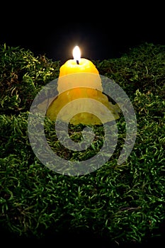 A lit candle on the forest dark moss. Part of Helloween decoration on black background.