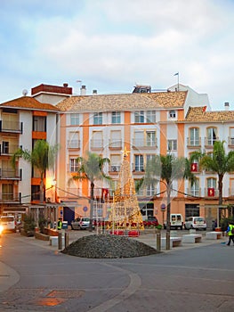 Lit Christmas tree in Town square