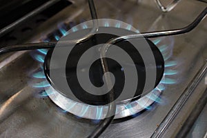lit gas hob on high setting, blue gas flame visible