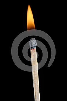 Lit Match Stick