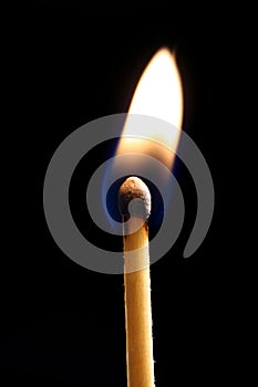 Lit Matchstick photo