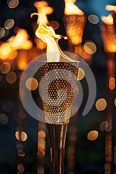 A lit torch is shown in a blurry image with a dark background