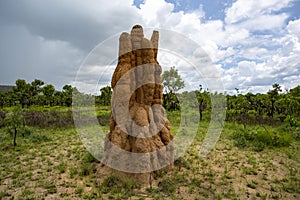 Litchfield Cathedral Termite Mounds