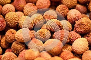 Litchi