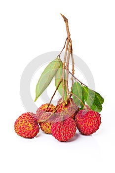 Litchi fruit