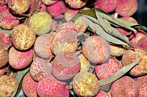 Litchi fruit