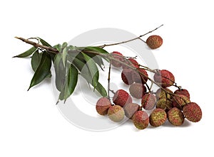Litchi or Litchee, litchi sinensis, Exotic Fruits against White Background photo