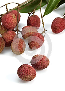 Litchi or Litchee, litchi sinensis, Exotic Fruits against White Background photo