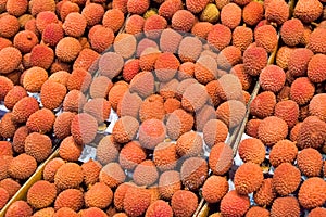 Litchi on a market