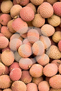 Litchies