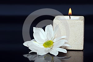 Lite candle with a daisy photo