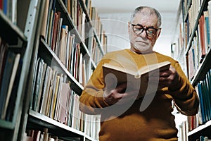 The Literary Connoisseur Senior Man Enjoying Books
