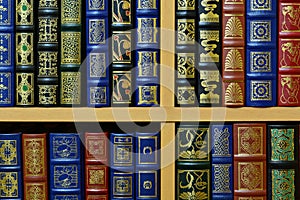 Literature books on a shelf photo