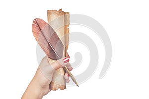 Literature concept. Female woman hand holds a feather quill pen with old vintage scroll isolated on white background.