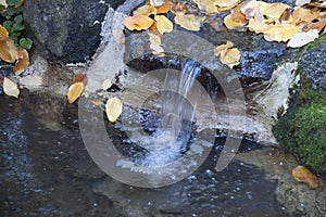 Lithia Park Ashland, Oregon photo