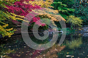 Lithia Park by the lake in the Autumn, pond