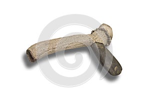 Lithic axe made with polished stone in deer antler handle photo