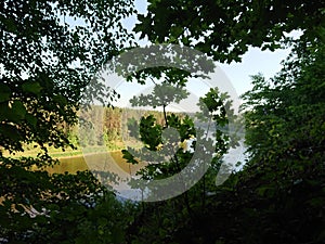 Lithuania forest river Nemunas