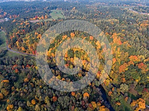 Lithuanian Autumn Leaves Color Nature. Beautiful Landscape. Drone Point of View