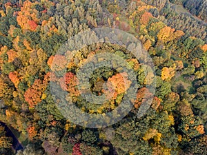 Lithuanian Autumn Leaves Color Nature. Beautiful Landscape. Drone Point of View