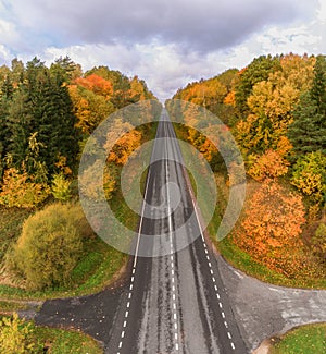 Lithuanian Autumn Leaves Color Nature and Road. Beautiful Landscape. Drone Point of View