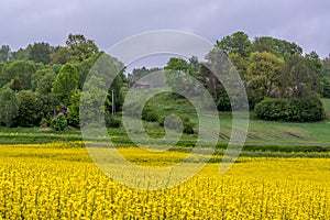 Lithuanian countryside