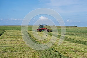 Lithuanian farmer prepare hay rows