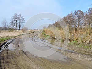 Lithuanian spring landscape