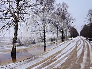 Lithuanian spring landscape