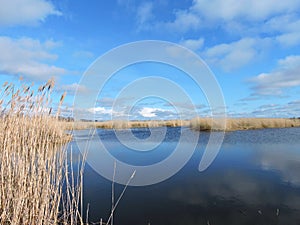 Lithuanian spring landscape photo