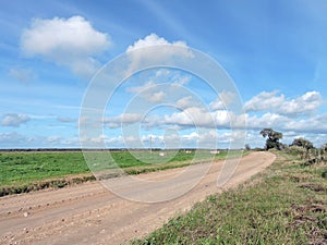 Lithuanian summer landscape