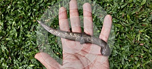 litle damascus knife for sovenir