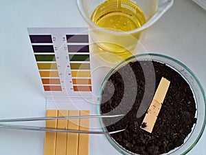 Litmus indicator for testing soil in laboratory
