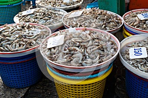 Litopenaeus Vannamei or Whiteleg shrimp sell on fresh food market,Price Thai Baht per kilograms