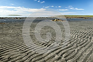 Litoral lat.litoralis, sandy seabed after low tide