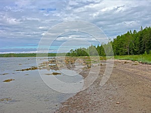 Litoral zone at low tide photo