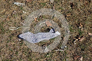 Litter along a roadside - disposable face mask