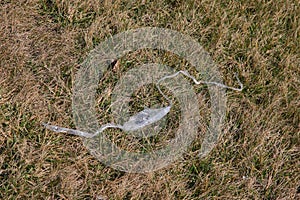 Litter along a roadside - plastic